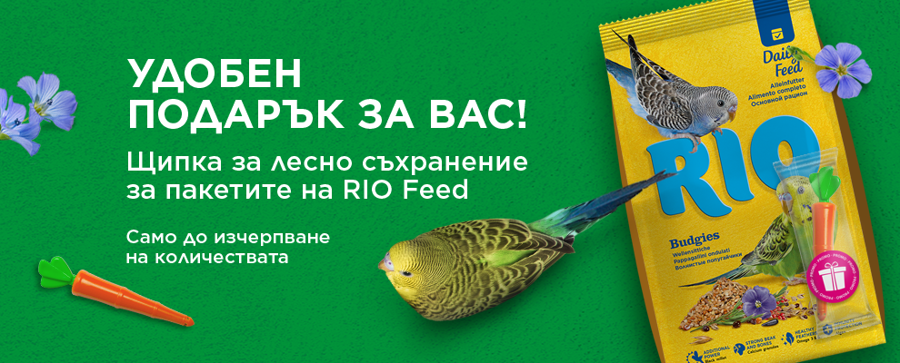RIO Feed promo